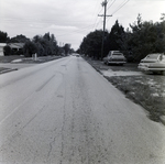 Residential Street with Parked Cars, Tampa, Florida by George Skip Gandy IV