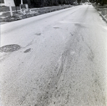 Road on Residential Street, Tampa, Florida by George Skip Gandy IV