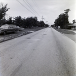 Residential Street with Power Lines and Parked Cars, Tampa, Florida, A by George Skip Gandy IV