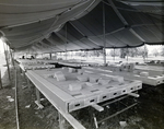 Work Tables Under Tent, Tampa, Florida, D by George Skip Gandy IV