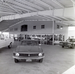 Cars Outside of Ford Dealership, Tampa, Florida, B by George Skip Gandy IV