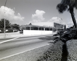 Curtis Hixon Mall, Tampa, Florida, C by George Skip Gandy IV