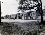 View of Warehouse with Mural by George Skip Gandy IV