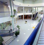 Escalators in Shopping Plaza, Sarasota, Florida, B by George Skip Gandy IV