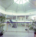 Second Floor View of Shopping Plaza, Sarasota, Florida by George Skip Gandy IV