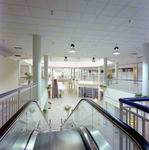 Shopping Plaza Escalator, Sarasota, Florida by George Skip Gandy IV