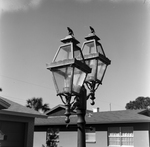 Double Lantern Post in a Residential Area, B by George Skip Gandy IV