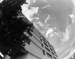 Exterior of Office Building with Foliage, Tampa, Florida, B by George Skip Gandy IV