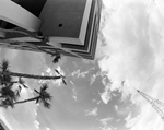 Exterior of Office Building with Foliage, Tampa, Florida, C by George Skip Gandy IV