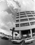 Exterior of Office Building with Foliage, Tampa, Florida, D by George Skip Gandy IV