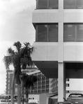 Exterior of Office Building with Foliage, Tampa, Florida, F by George Skip Gandy IV