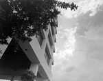 Exterior of Office Building with Foliage, Tampa, Florida, H by George Skip Gandy IV