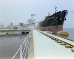 View from Path, World Argus Docked at Port of Tampa, Fillette Green, D by George Skip Gandy IV