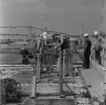 Florida Steel Corporation Employees Work on Gandy Bridge, B by George Skip Gandy IV