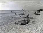 People Sunbathing on Madeira Beach by George Skip Gandy IV