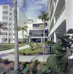 Entrance to Gull Harbor Apartments, Redington Shores, E by George Skip Gandy IV
