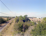 Linebaugh Ave with Utility Lines and Vegetation, Tampa, B by George Skip Gandy IV