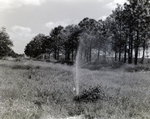Horizon 2000 Sprinklers by George Skip Gandy IV