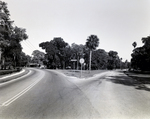 Bay to Bay and Westshore Blvd., for Horizon 2000 by George Skip Gandy IV