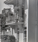 Balcony and Plants by George Skip Gandy IV