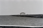 Ballast Point Fishing Pier, Tampa by George Skip Gandy IV