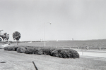 Bicyclists on Bayshore Blvd, Tampa by George Skip Gandy IV