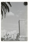 Downtown Buildings, Tampa, A by George Skip Gandy IV