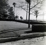 Howell Park Fence, Tampa, A by George Skip Gandy IV