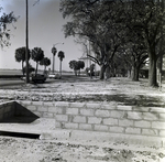 Howell Park Fence, Tampa, B by George Skip Gandy IV