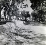 Howell Park Fence, Tampa, F by George Skip Gandy IV