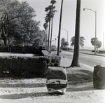 Howell Park Fence, Tampa, G by George Skip Gandy IV