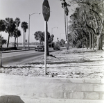 Howell Park Fence, Tampa, H by George Skip Gandy IV