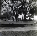 Howell Park Fence, Tampa, I by George Skip Gandy IV