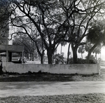 Howell Park Fence, Tampa, J by George Skip Gandy IV