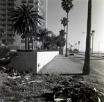 Howell Park Fence, Tampa, K by George Skip Gandy IV