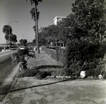 Howell Park Fence, Tampa, M by George Skip Gandy IV