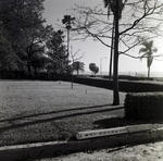 Howell Park Fence, Tampa, N by George Skip Gandy IV