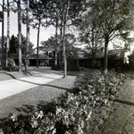 Carrollwood Village Home Lawn by Environmental Landscaping Systems, B by George Skip Gandy IV