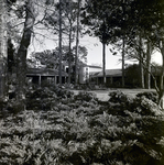 Carrollwood Village Home Lawn by Environmental Landscaping Systems, E by George Skip Gandy IV