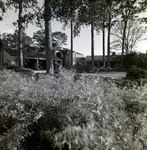 Carrollwood Village Home Lawn by Environmental Landscaping Systems, G by George Skip Gandy IV