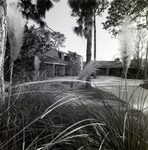 Carrollwood Village Home Lawn by Environmental Landscaping Systems, J by George Skip Gandy IV