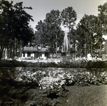 Carrollwood Village Clubhouse for Environmental Landscaping Systems, D by George Skip Gandy IV