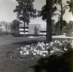 Carrollwood Village Golf and Tennis Club for Environmental Landscaping Systems, C by George Skip Gandy IV