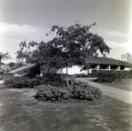 Carrollwood Village Golf and Tennis Club for Environmental Landscaping Systems, H by George Skip Gandy IV