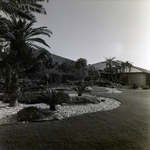 Carrollwood Village Golf and Tennis Club for Environmental Landscaping Systems, P by George Skip Gandy IV