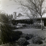 Carrollwood Village Golf and Tennis Club for Environmental Landscaping Systems, U by George Skip Gandy IV