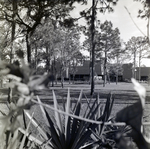 Carrollwood Village Golf and Tennis Club for Environmental Landscaping Systems, AF by George Skip Gandy IV