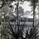 Carrollwood Village Golf and Tennis Club for Environmental Landscaping Systems, AG by George Skip Gandy IV