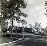 Carrollwood Village Golf and Tennis Club for Environmental Landscaping Systems, AH by George Skip Gandy IV