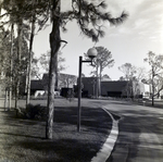 Carrollwood Village Golf and Tennis Club for Environmental Landscaping Systems, AI by George Skip Gandy IV